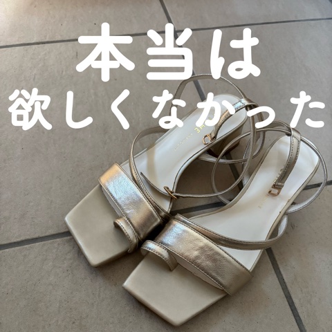 本当は欲しくなかった